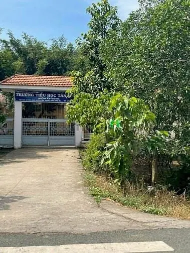 Bán Đất 1696M2 Có 139M2 Thổ,19Mx89M,Mặt Tiền Đt829 Tân Thạnh Long An
