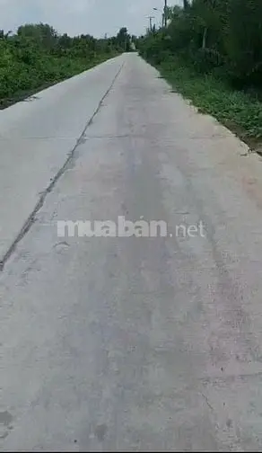 6057959 ảnh đại diện 1