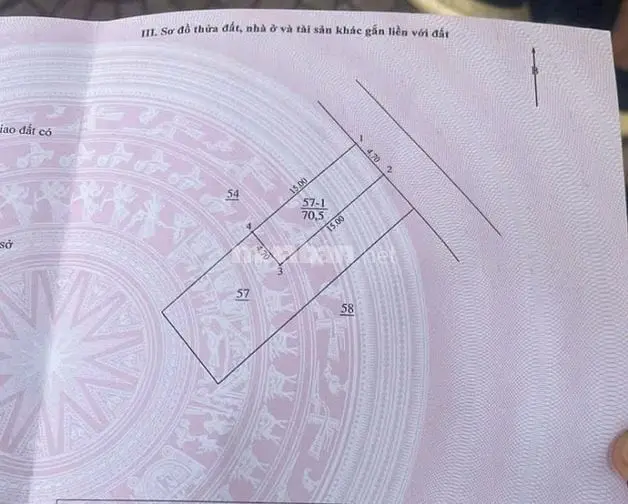 6058089 ảnh đại diện 1
