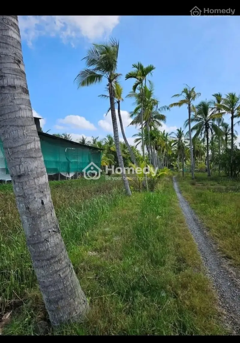 6058178 ảnh đại diện 1