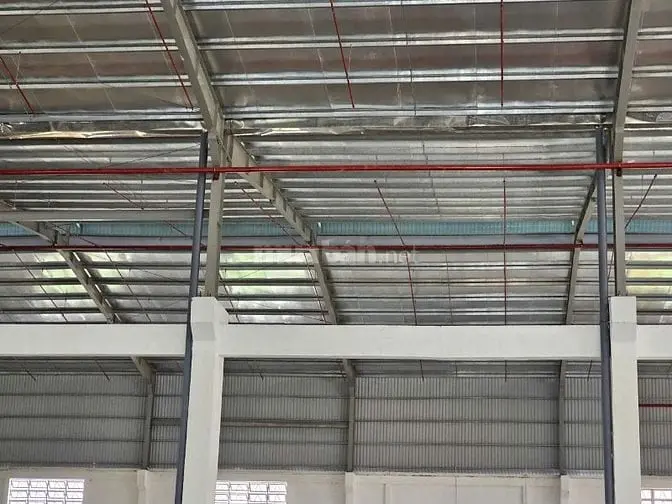 Cho Thuê Kho 2.800M² Pccc Tự Động, Mới Xây Tại Trần Đại Nghĩa,Bình Tân