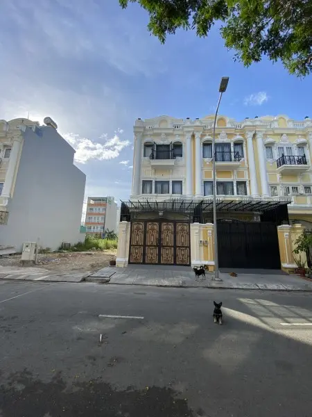 6058118 ảnh đại diện 1