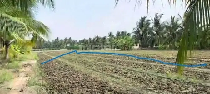 1200M2 Cln Lê Thị Lệ Chi. Chợ Gạo. Tiền Giang. Chính Chủ 630Tr.