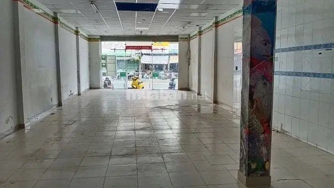 6058121 ảnh đại diện 1