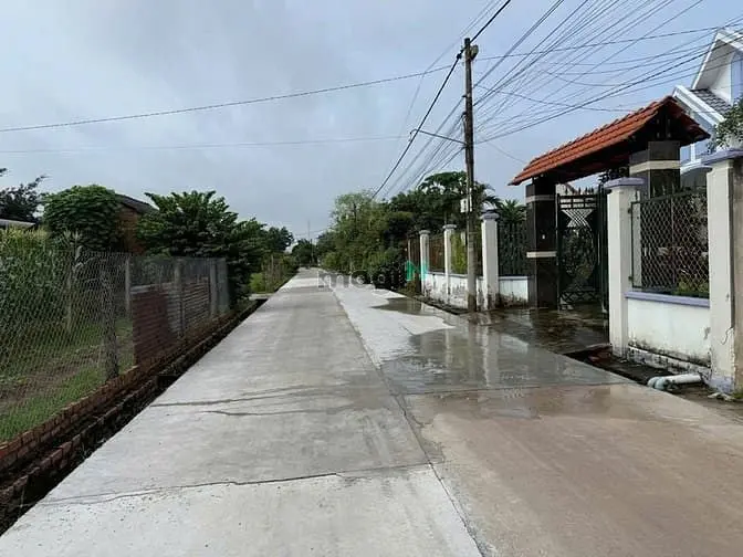 6058246 ảnh đại diện 1