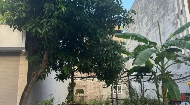 Bán Đất Trung Tâm Liên Bảo Đường Đoàn Thị Điểm, Vĩnh Yên