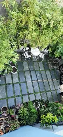 Villa 4 Tầng – Phố Tây Chế Lan Viên – Dòng Tiền Liền Tay