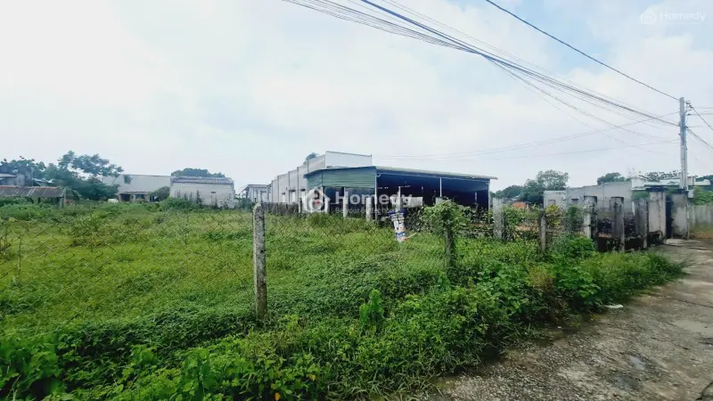 6058736 ảnh đại diện 1