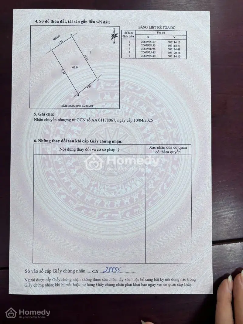 6058331 ảnh đại diện 1