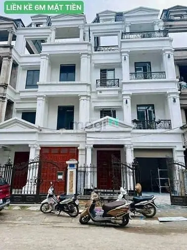 6058303 ảnh đại diện 1