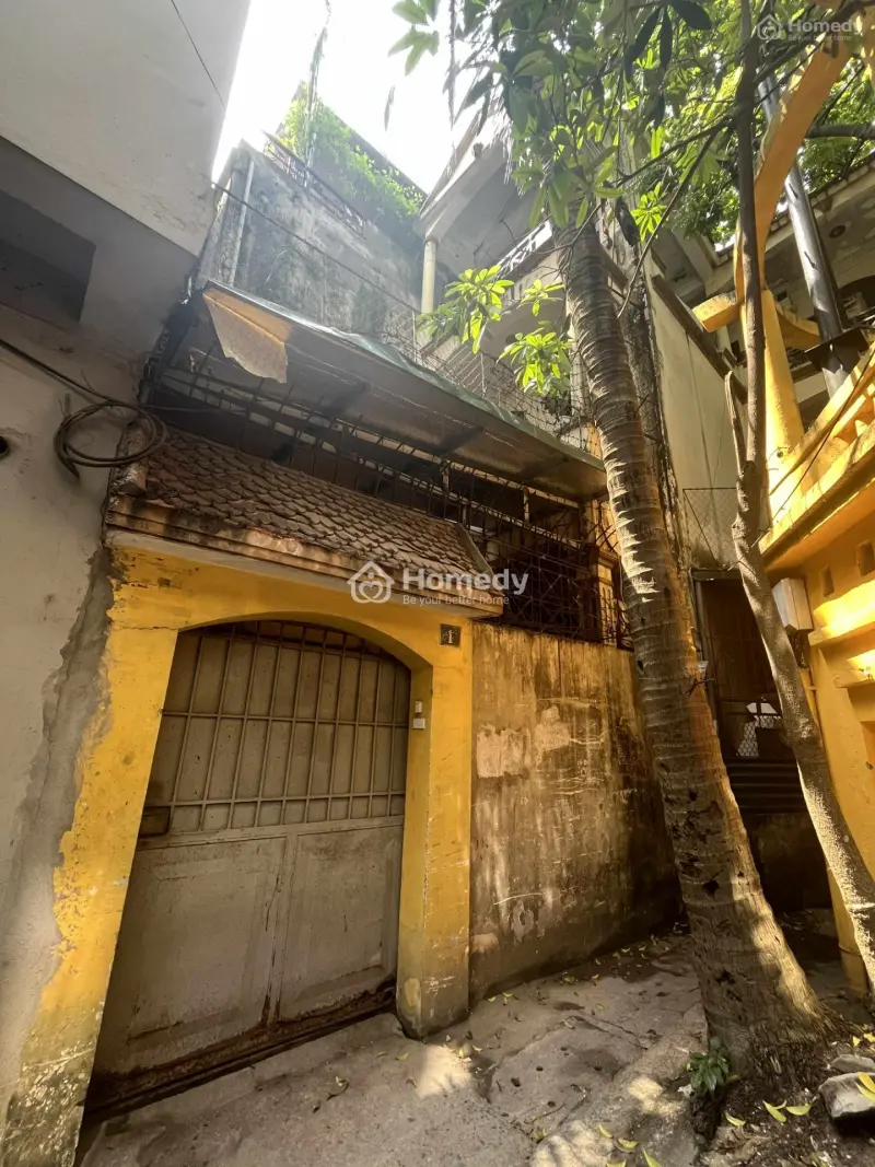 6058744 ảnh đại diện 1