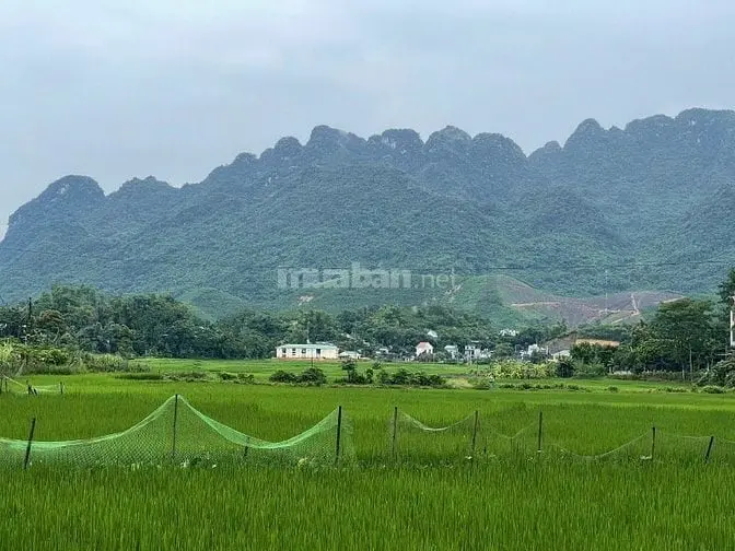 Alo Ngay Em Đất Đẹp Giá Cực Rẻ Chính Chủ Cần Tiền Muốn Bán Gấp 676M