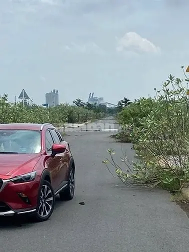 6058476 ảnh đại diện 1