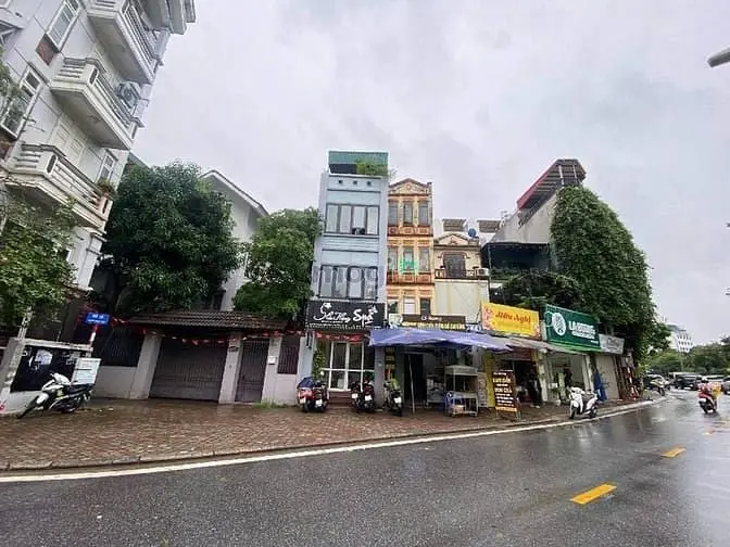 6058618 ảnh đại diện 1