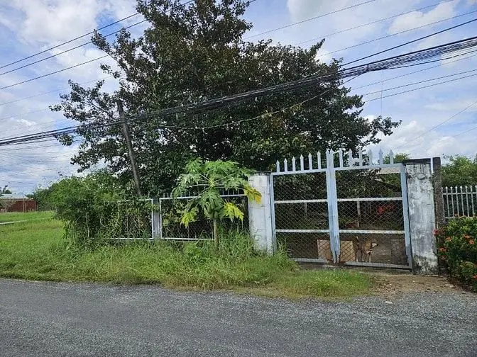 6058786 ảnh đại diện 1