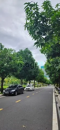 6058762 ảnh đại diện 1