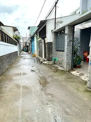 6058299 ảnh đại diện 1
