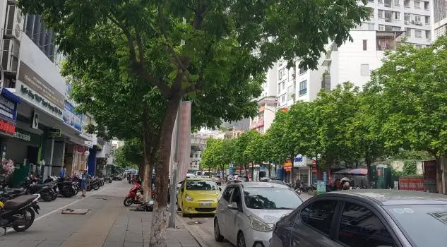 Tòa Nhà Mặt Phố Khúc Thừa Dụ Cầu Giấy 65 Tỷ.