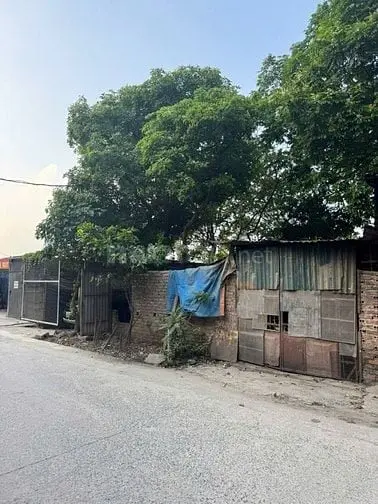 6058422 ảnh đại diện 1