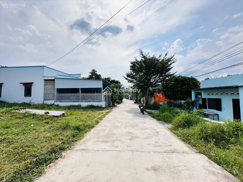 6058738 ảnh đại diện 1