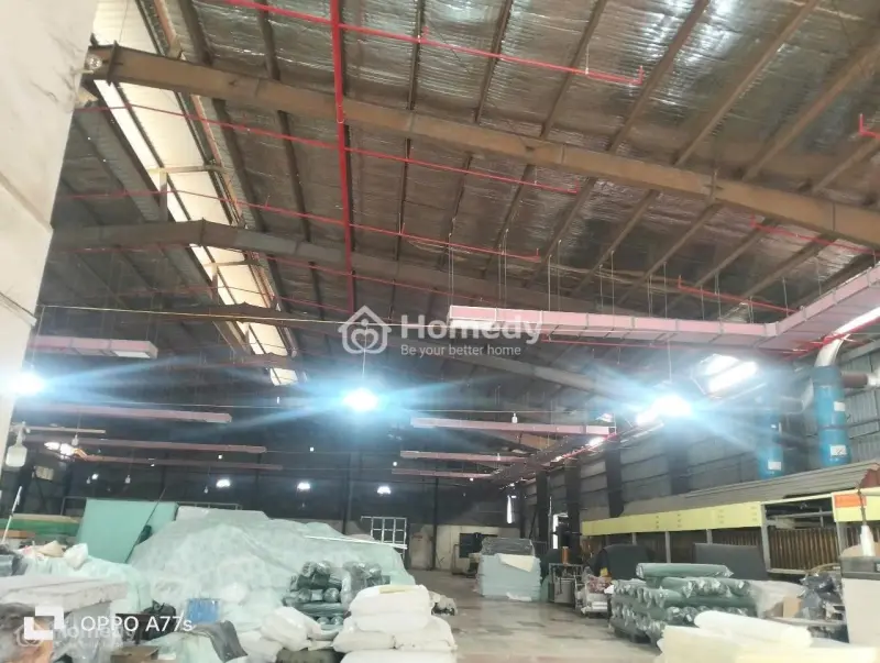 6058286 ảnh đại diện 1