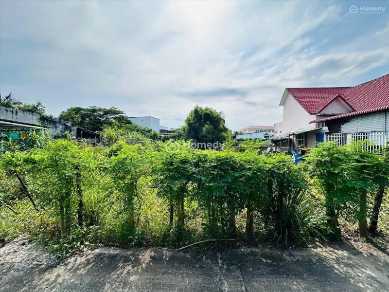 6058293 ảnh đại diện 1