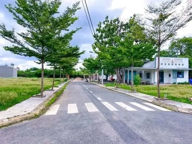 6058569 ảnh đại diện 1