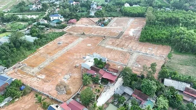 6058470 ảnh đại diện 1
