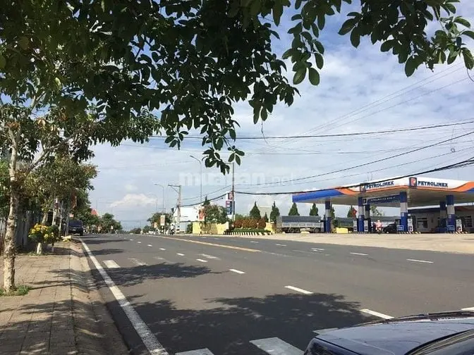 6058482 ảnh đại diện 1