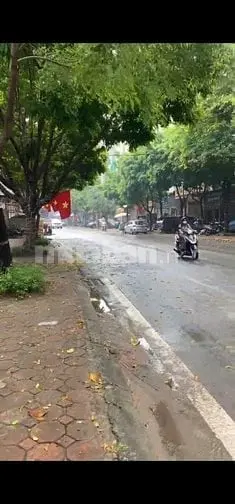 6058726 ảnh đại diện 1