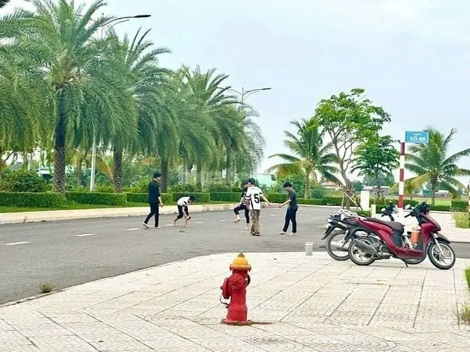 6058774 ảnh đại diện 1