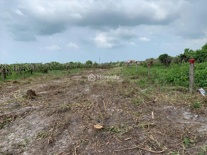 6058292 ảnh đại diện 1