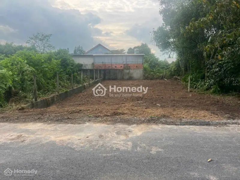 6058588 ảnh đại diện 1