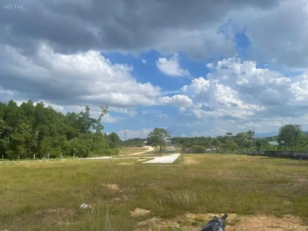 6058520 ảnh đại diện 1