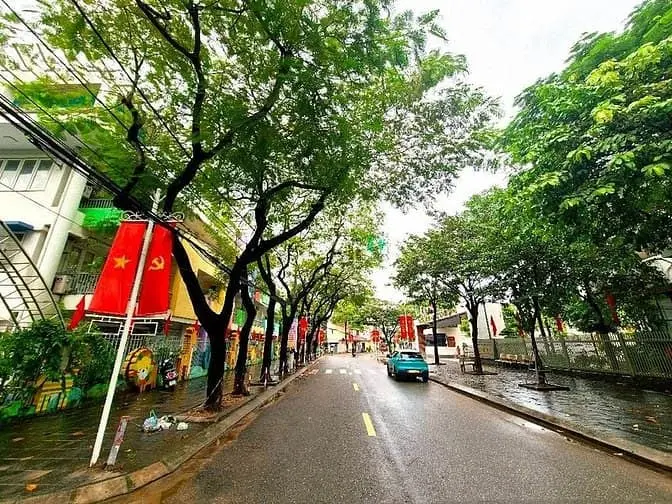 6058614 ảnh đại diện 1