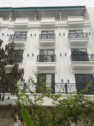 6058559 ảnh đại diện 1