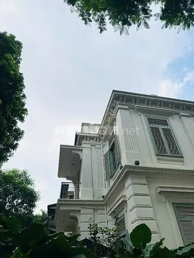 6058527 ảnh đại diện 1