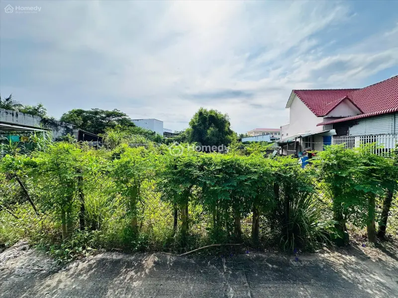 Bán 321M2 Đất Thổ Cư Hẻm Lê Minh Công, Tân Phước, Lagi Giá Đầu Tư 1.3 Tỷ