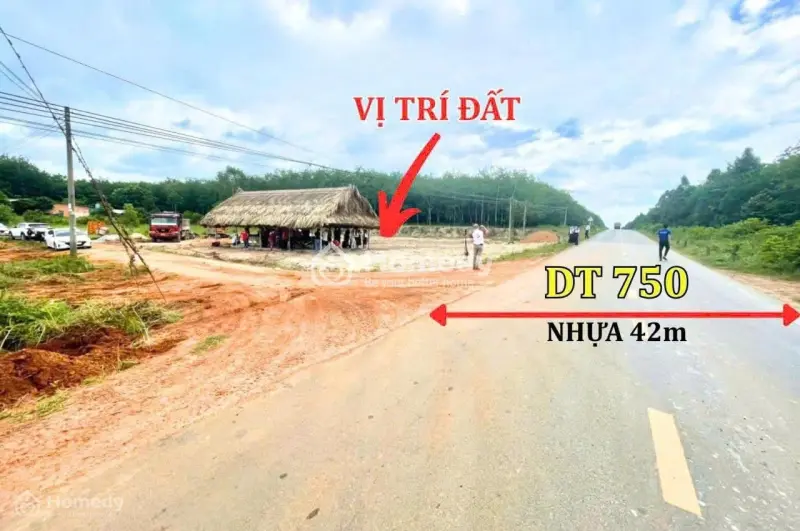 Đất Nền 100M2 Long Hòa, Dầu Tiếng. Sổ Sẵn, Công Chứng Ngay.
