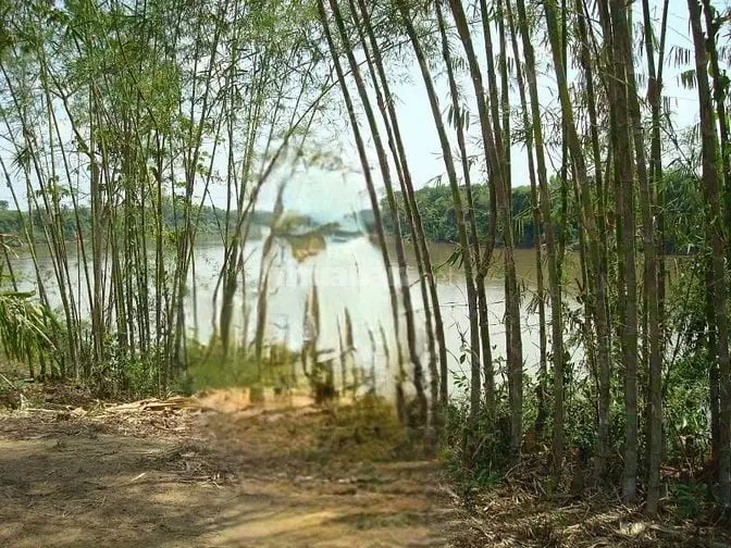 Bán Đất Vườn/ Thổ Cư Mặt Tiền Sông Đồng Nai Giá 1,5 Triệu/M2 Có Sổ Đỏ