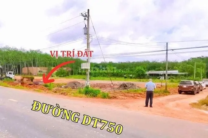 6058870 ảnh đại diện 1