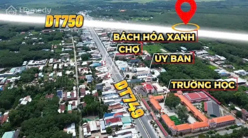 6058886 ảnh đại diện 1