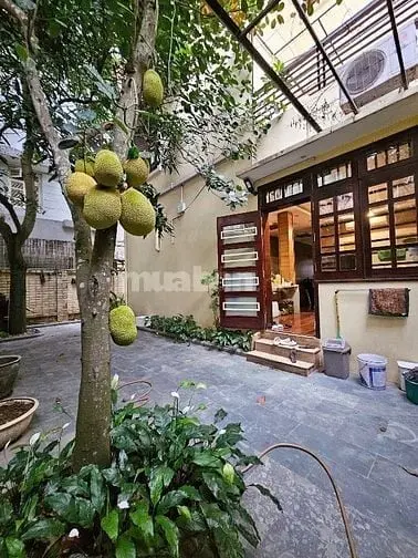 6058874 ảnh đại diện 1
