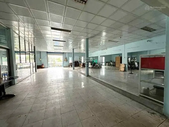 6059003 ảnh đại diện 1