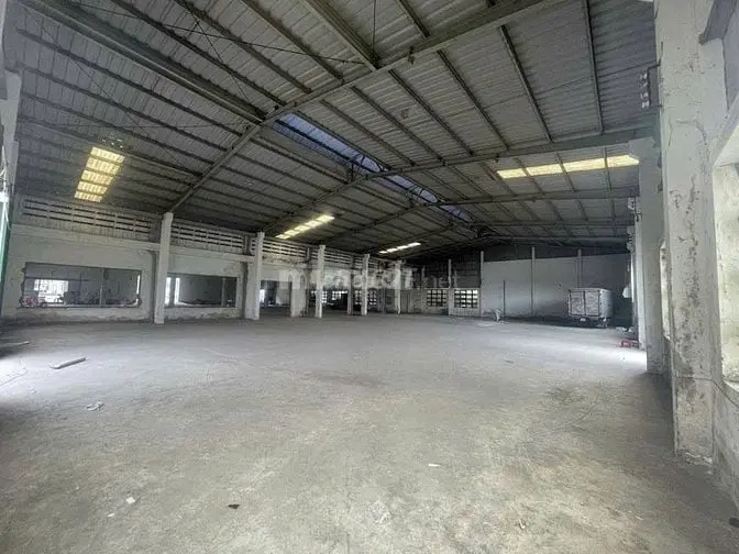 6058966 ảnh đại diện 1