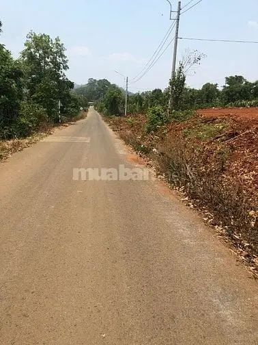 Bán Đất 500M2 Đường B, Cưebur.