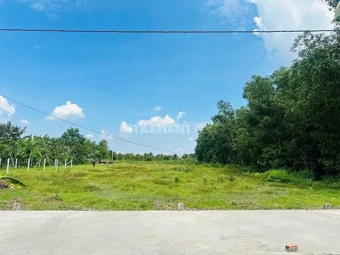 6058993 ảnh đại diện 1