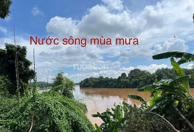 Bán Đất Vườn/ Thổ Cư Mặt Tiền Sông Đồng Nai Giá 1,5 Triệu/M2 Có Sổ Đỏ