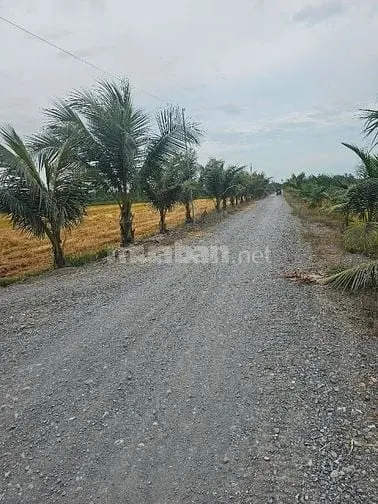 Bán Đất Nn, Đức Hòa , Hựu Thạnh
