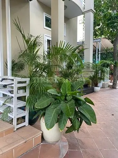 Chính Chủ Cho Thuê Biệt Thự Nam Long 1 Giá 100Tr Có Hồ Bơi